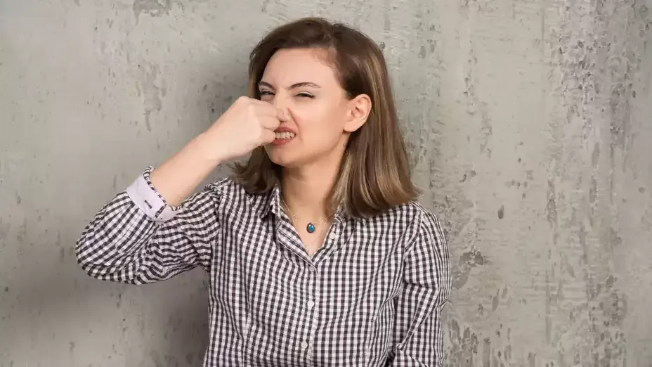Як позбутися молі і затхлого запаху у будинку?